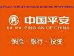 中国平安综合金融集团巴中公司