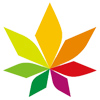 四川七彩林业开发有限公司