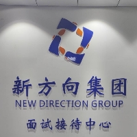 新方向集团